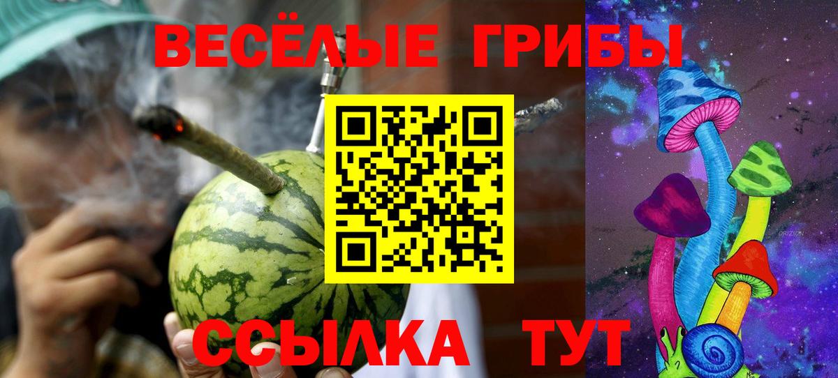 цена   Вход с VPN  Северодвинск  Галлюциногенные грибы мицелий 